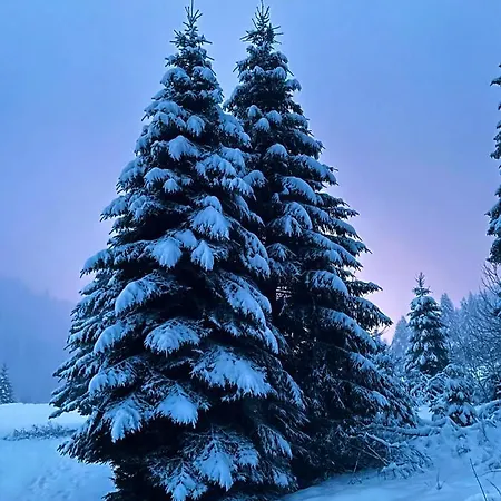 Chalet Des Feignes
