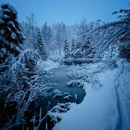 Des Feignes Alpstuga La Bresse