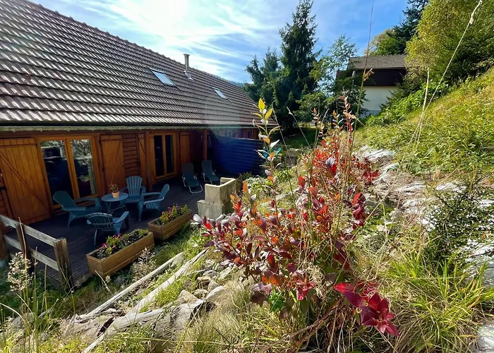 Des Feignes لابْريسْ