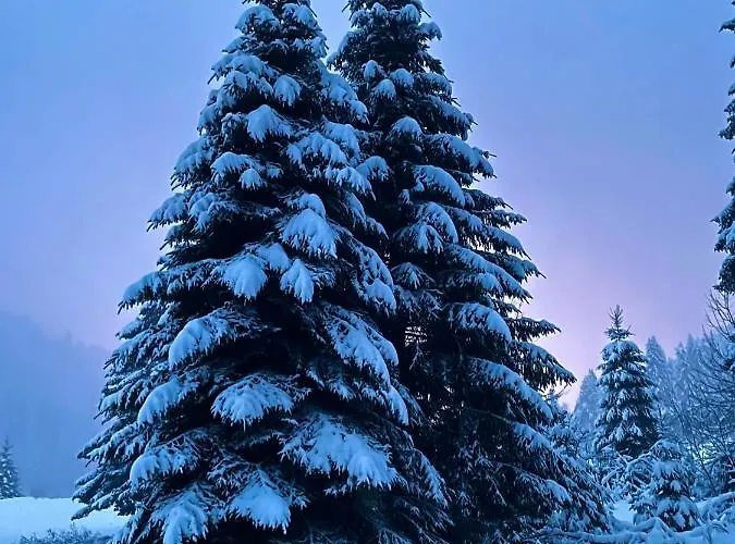 شاليه Des Feignes