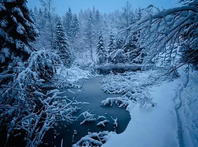 Des Feignes Alpesi faház La Bresse